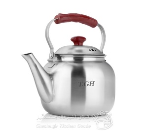 کتری 1 لیتری استیل لوله ای قیطاسی T.GH 3008