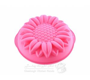 ghaleb-zhele-silicon-aftabgardan-pink-small-2_304161860